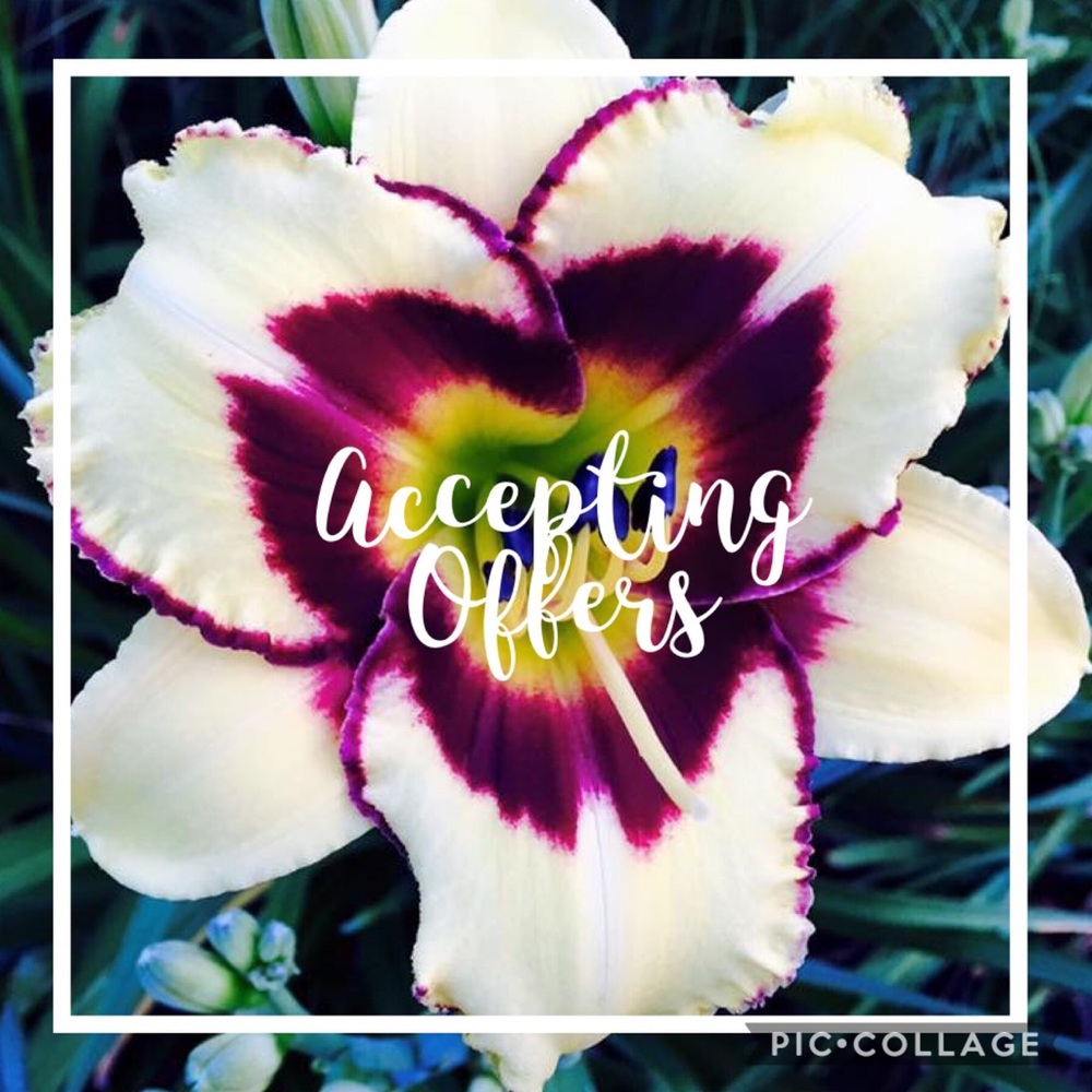 🌸Offers Welcome🌸